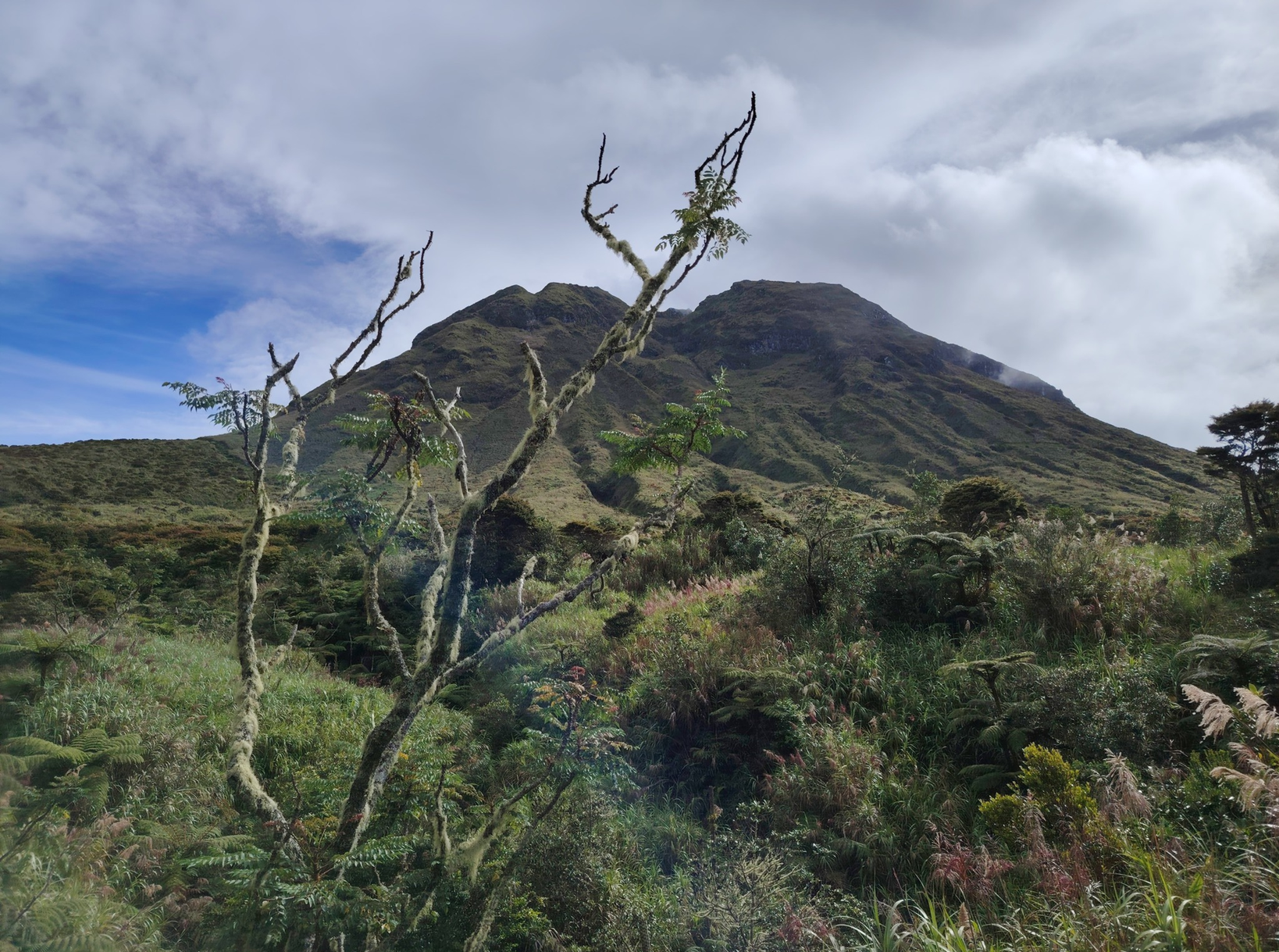 Climbing the King of PH Mountains